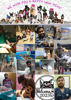 thumb-pic-1-23